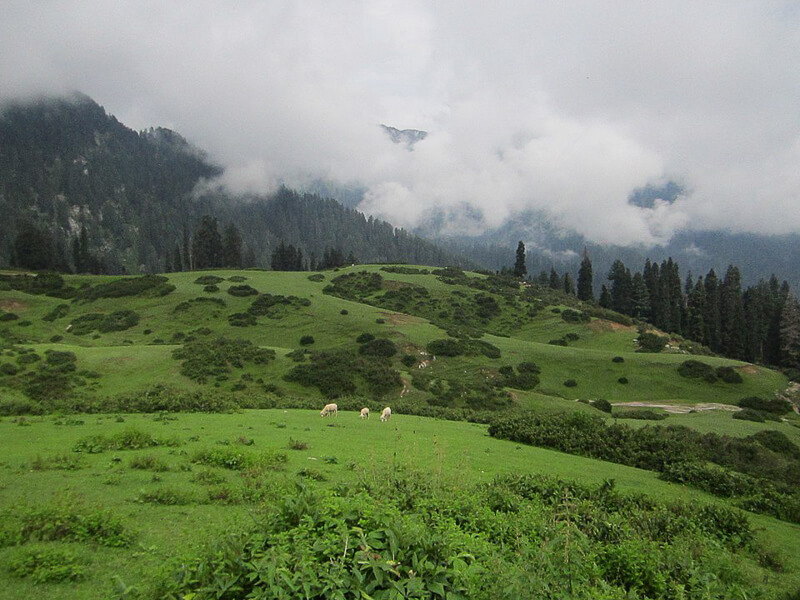 Madyan and Bahrain hill stations in Upper Swat Valley